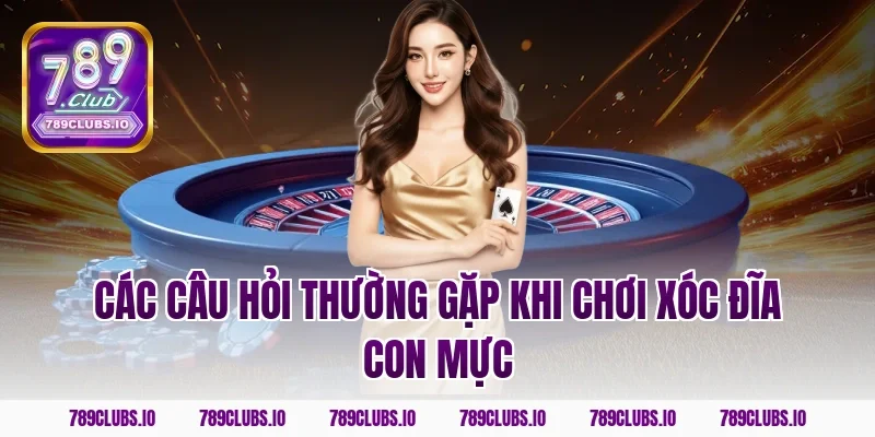 Các câu hỏi thường gặp khi chơi Xóc Đĩa Con Mực