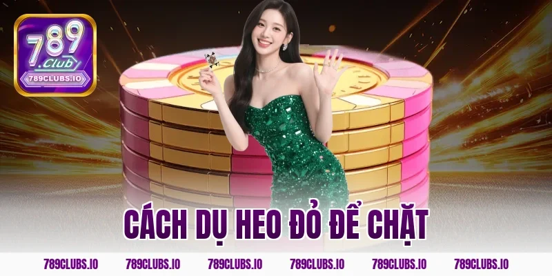 cách dụ heo đỏ để chặt
