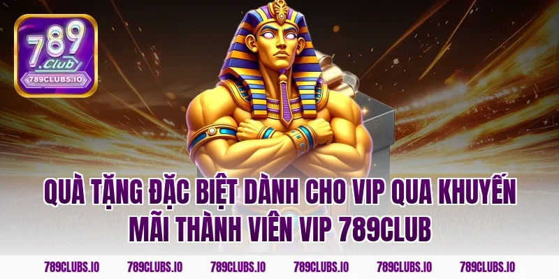 Quà tặng đặc biệt dành cho VIP qua khuyến mãi thành viên vip 789CLUB